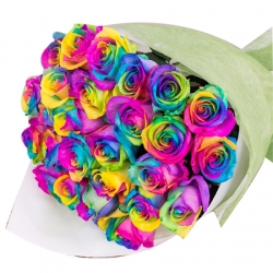 rainbow ecuadorian roses to manila