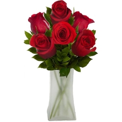 6 pcs Ecuadorian Red Roses in Vase
