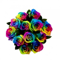 Send Rainbow Rose 1 Dozen to manila,Philippines