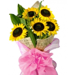Send Sunflowers to Philippines