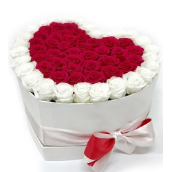 50 Red & White Roses in Box