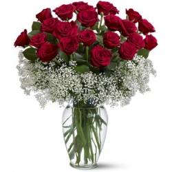 24 Bright Red Roses in Vase Send to Manila Philippines