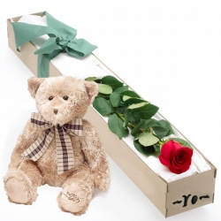 Single Red Rose Box with bear send to philippines