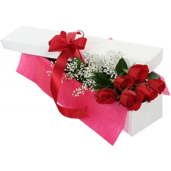 12 Red Roses in Box Delivery to Manila Philippines