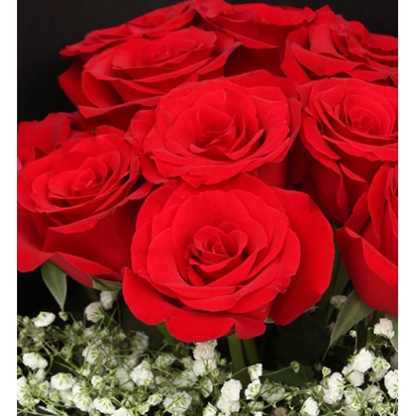 delivery red roses to philippines