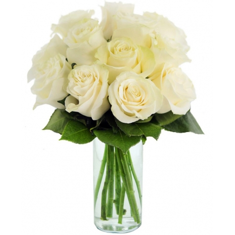 12 cps Of White Ecuadorian Roses in Vase