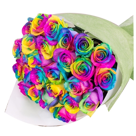 rainbow ecuadorian roses to manila