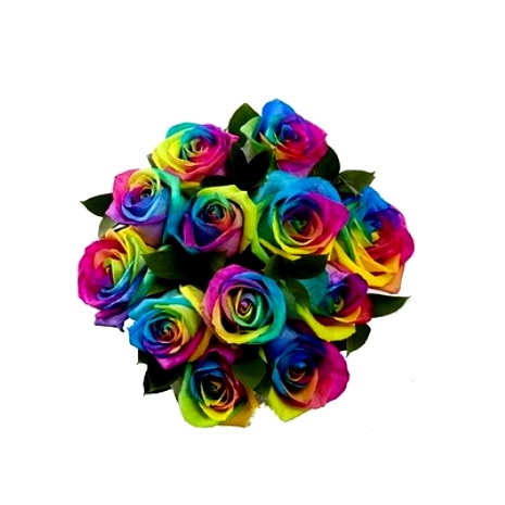 Send Rainbow Rose 1 Dozen to manila,Philippines