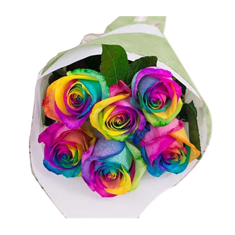 send rainbow roses to manila philippines