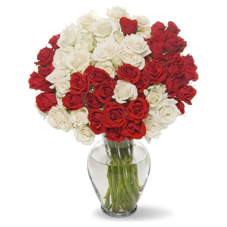 36 Bright Red & white Roses in Vase Delivery to Manila Philippines
